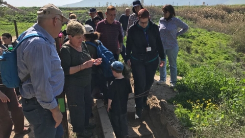 טיולים מזמרים
