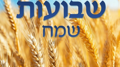 Main article image